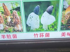 -菌之家·专业纯野生菌火锅·特色炒菌