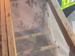 -王婆炒鱼(总店)