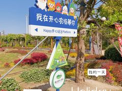 -苏州太湖西山岛开心农场