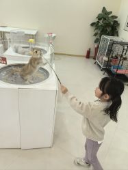 -Moni星球萌宠·小马宝莉·灵蛇·高端高阶全萌宠互动体验俱乐部(红豆国际广场店)