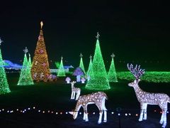 景点-蠡湖中央公园