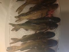 -悦海堂(金融街购物中心店)