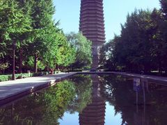 -玲珑塔公园