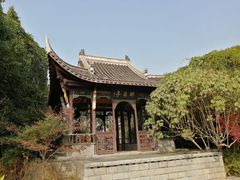 -武汉园博园(武汉自然博物馆)