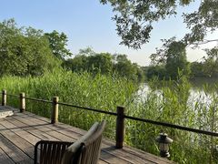 -新荣记(西溪湿地店)