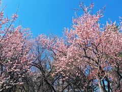 -吉林大学(南岭校区)