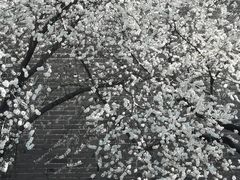 -雍和宫(地铁站)