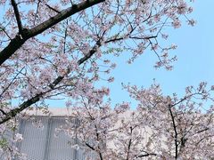 -龙美术馆(西岸馆)