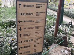 -西湖游船