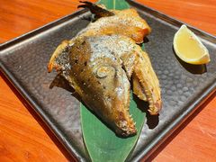 -摩打食堂(喜荟城店)