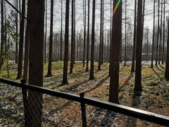 -黄海国家森林公园