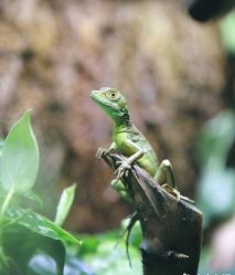 -酷嗒动物文化乐园(cutezoo西溪乐天城店)