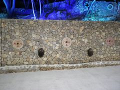 -博山九龙峪风景区