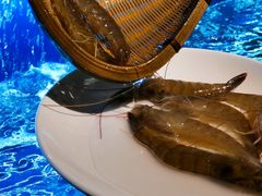 -芭菲盛宴·环球美食(北城国际店)