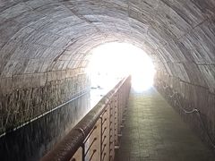 -白水寺森林公园