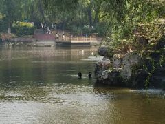 -石家庄市动物园