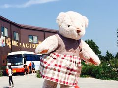 -济州岛泰迪熊博物馆