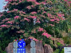 -广州市石门国家森林公园