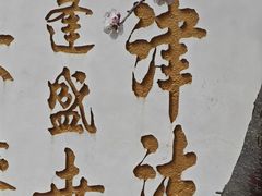 -桃花堤公园