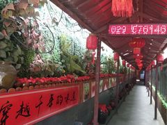 -窄巷子陕菜馆·地道陕西菜(粉巷店)