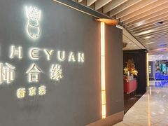 -柿合缘新京菜(国金中心商场店)