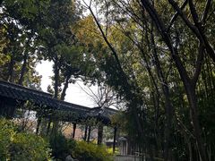 -梅园