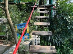 -芦仙山景区-飞越丛林探险乐园