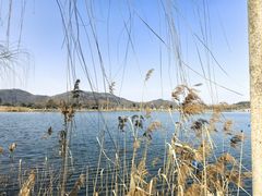 -南北湖风景区