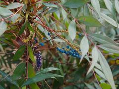 -白鹭湾湿地公园