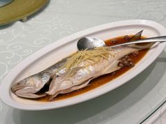 -光头匠