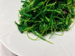 油鸡枞拌辣木苗-马旺子酒楼