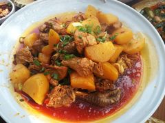 -青城甲(青城山店)