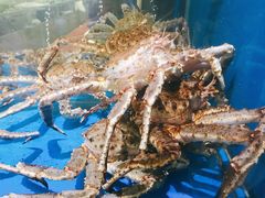 -神洲四海大酒楼(王府井澳门中心店)