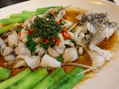 鲜花椒蒸海鲈鱼-猪肉婆私房菜(容桂总店)