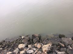 -大湾区中央湿地公园