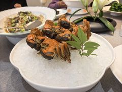 -九福楼大酒店