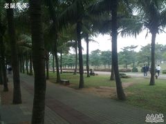-万绿园