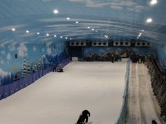 -世界之窗阿尔卑斯冰雪世界