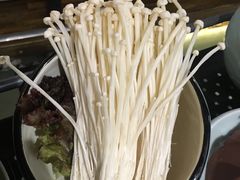 -洪氏嗨捞·广东猪肚鸡·椰子鸡火锅(西咸万象城店)