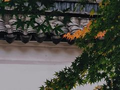 -秋霞圃