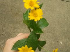 android_upload_pic-三水森林公园