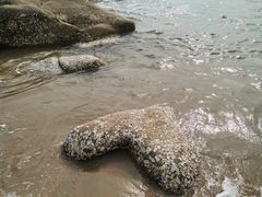 -老虎石海上公园