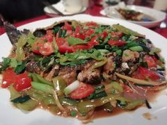 -生态苑农庄(十里画廊遇龙河店)