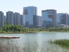 -金沙湖公园