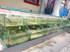 水产区-海岸风情蒸汽海鲜自助餐厅(家宴金手勺店)