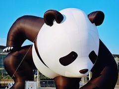 -吴越荣记苏州菜·松鼠桂鱼100%活鱼现做(月光码头店)