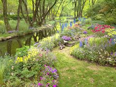 -上海共青森林公园