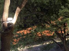 -鼓楼(西湖风景名胜区)