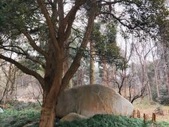 -杭州植物园