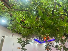 -好灶头铁锅炖(万象城店)